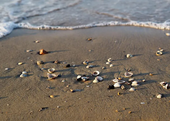 Cozy And Modern Front Apartment Bibione