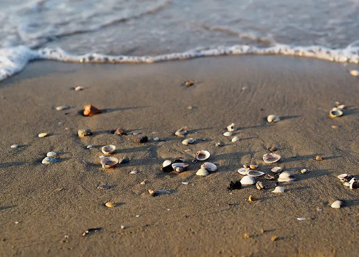 Cozy And Modern Front